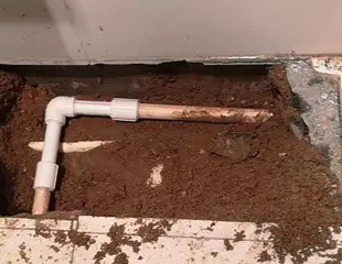 尖山测漏水哪家好