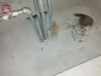 尖山卫生间测漏水价格明细