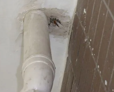 尖山漏水检测哪家好